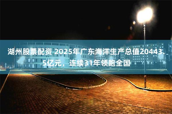 湖州股票配资 2025年广东海洋生产总值20443.5亿元，连续31年领跑全国