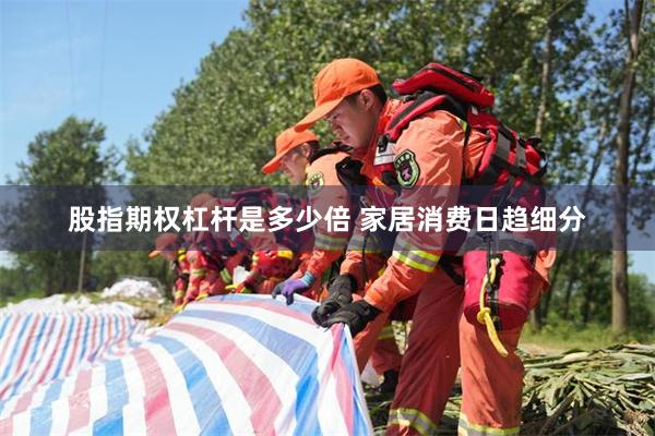 股指期权杠杆是多少倍 家居消费日趋细分