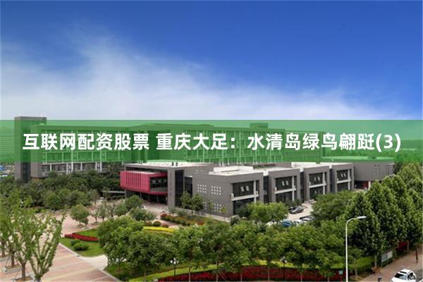 互联网配资股票 重庆大足：水清岛绿鸟翩跹(3)