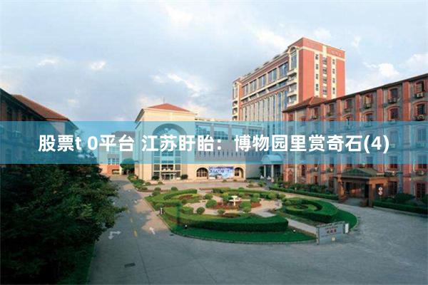 股票t 0平台 江苏盱眙：博物园里赏奇石(4)