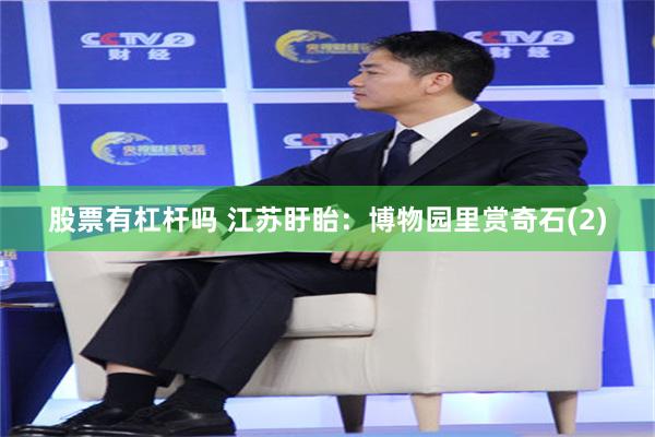 股票有杠杆吗 江苏盱眙：博物园里赏奇石(2)