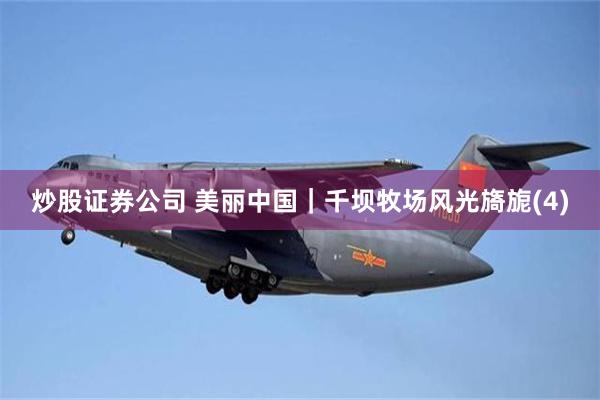 炒股证券公司 美丽中国｜千坝牧场风光旖旎(4)