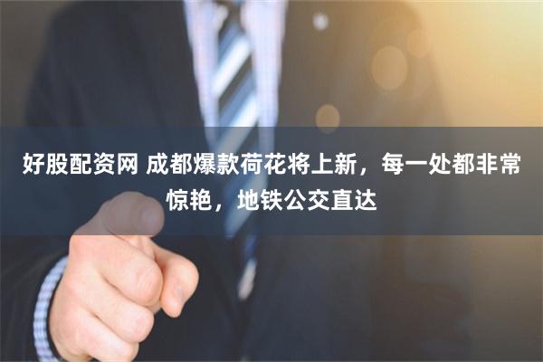 好股配资网 成都爆款荷花将上新，每一处都非常惊艳，地铁公交直达