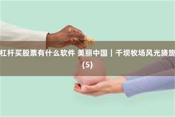杠杆买股票有什么软件 美丽中国｜千坝牧场风光旖旎(5)