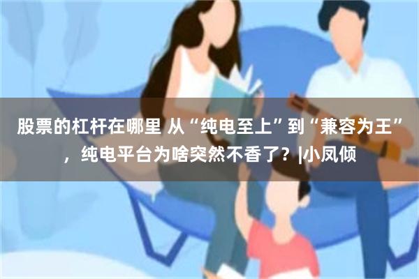 股票的杠杆在哪里 从“纯电至上”到“兼容为王”，纯电平台为啥突然不香了？|小凤倾