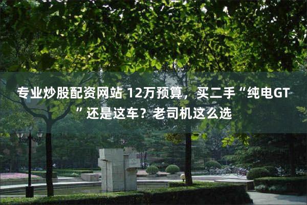 专业炒股配资网站 12万预算，买二手“纯电GT”还是这车？老司机这么选