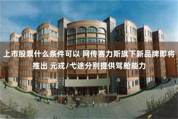 上市股票什么条件可以 网传赛力斯旗下新品牌即将推出 元戎/弋途分别提供驾舱能力