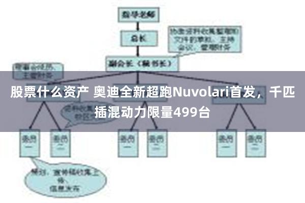股票什么资产 奥迪全新超跑Nuvolari首发，千匹插混动力限量499台