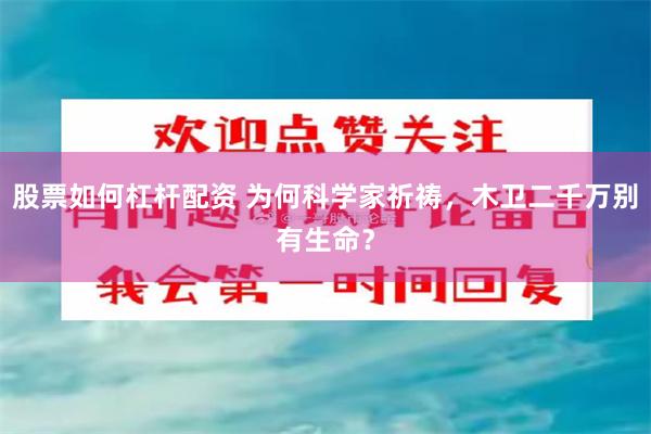 股票如何杠杆配资 为何科学家祈祷，木卫二千万别有生命？