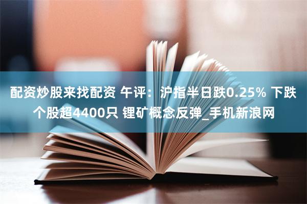 配资炒股来找配资 午评：沪指半日跌0.25% 下跌个股超4400只 锂矿概念反弹_手机新浪网