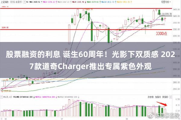 股票融资的利息 诞生60周年！光影下双质感 2027款道奇Charger推出专属紫色外观