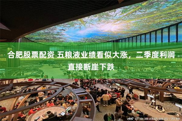 合肥股票配资 五粮液业绩看似大涨，二季度利润直接断崖下跌