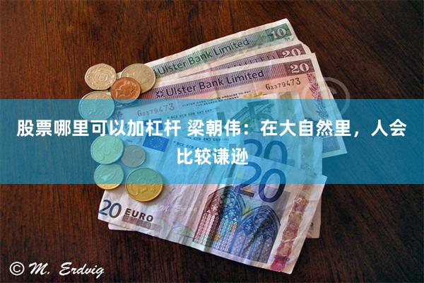 股票哪里可以加杠杆 梁朝伟：在大自然里，人会比较谦逊