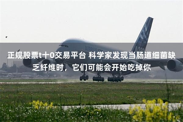 正规股票t十0交易平台 科学家发现当肠道细菌缺乏纤维时，它们可能会开始吃掉你