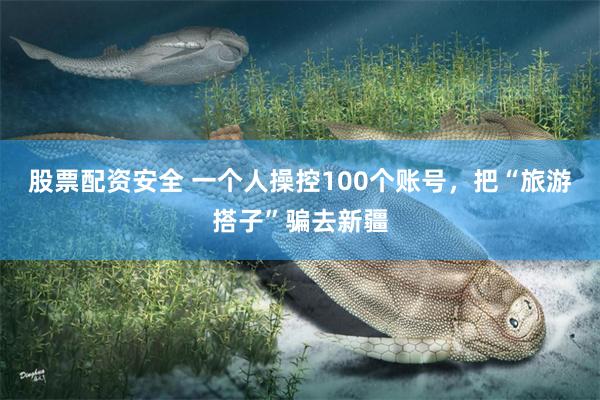 股票配资安全 一个人操控100个账号，把“旅游搭子”骗去新疆