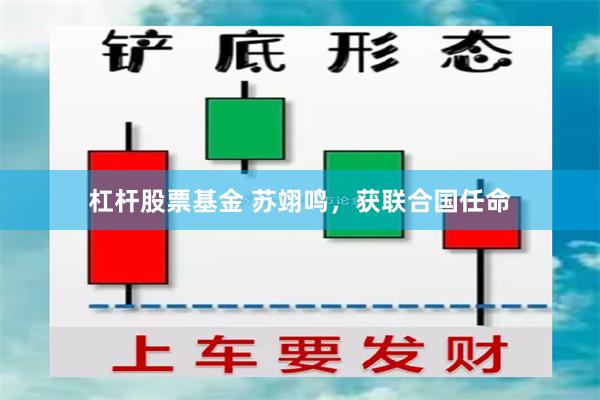 杠杆股票基金 苏翊鸣，获联合国任命