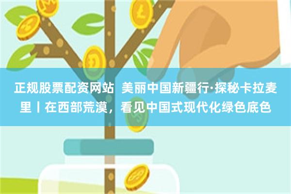 正规股票配资网站  美丽中国新疆行·探秘卡拉麦里丨在西部荒漠，看见中国式现代化绿色底色