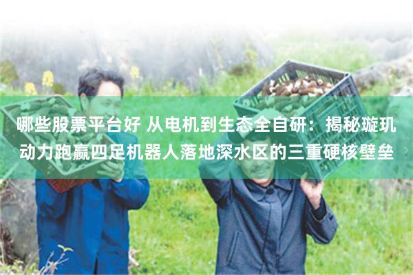 哪些股票平台好 从电机到生态全自研：揭秘璇玑动力跑赢四足机器人落地深水区的三重硬核壁垒
