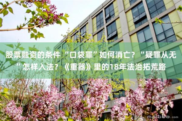 股票融资的条件 “口袋罪”如何消亡?“疑罪从无”怎样入法?《重器》里的18年法治拓荒路