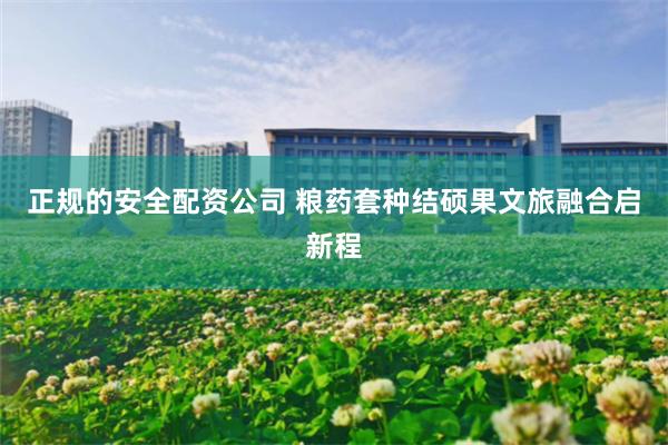 正规的安全配资公司 粮药套种结硕果文旅融合启新程