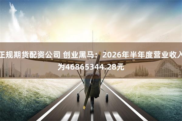 正规期货配资公司 创业黑马：2026年半年度营业收入为46865344.28元
