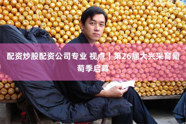 配资炒股配资公司专业 视点｜第26届大兴采育葡萄季启幕