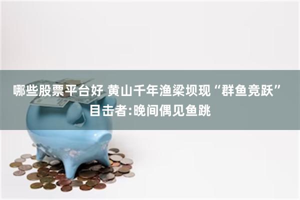 哪些股票平台好 黄山千年渔梁坝现“群鱼竞跃” 目击者:晚间偶见鱼跳