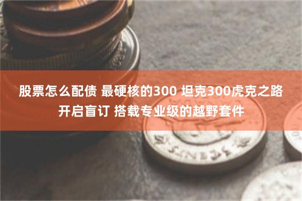 股票怎么配债 最硬核的300 坦克300虎克之路开启盲订 搭载专业级的越野套件