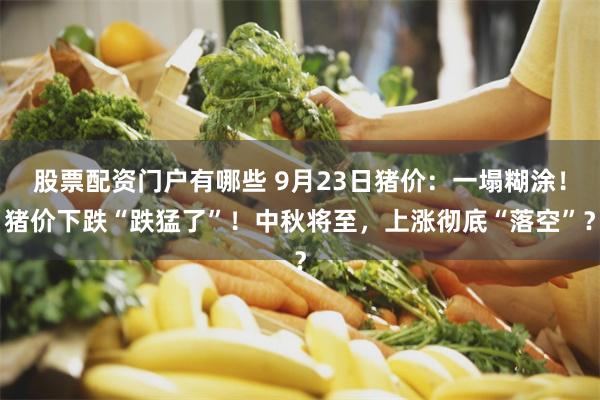 股票配资门户有哪些 9月23日猪价:一塌糊涂!猪价下跌“跌猛了”!中秋将至,上涨彻底“落空”?