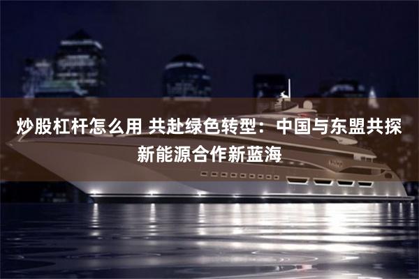 炒股杠杆怎么用 共赴绿色转型:中国与东盟共探新能源合作新蓝海