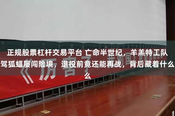 正规股票杠杆交易平台 亡命半世纪,羊羔特工队驾狐蝠屡闯险境,退役前竟还能再战,背后藏着什么