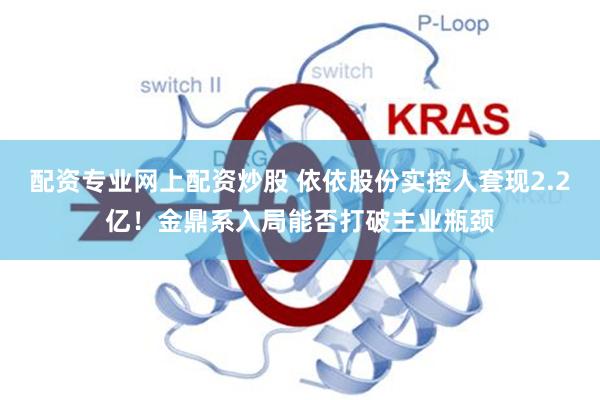 配资专业网上配资炒股 依依股份实控人套现2.2亿！金鼎系入局能否打破主业瓶颈