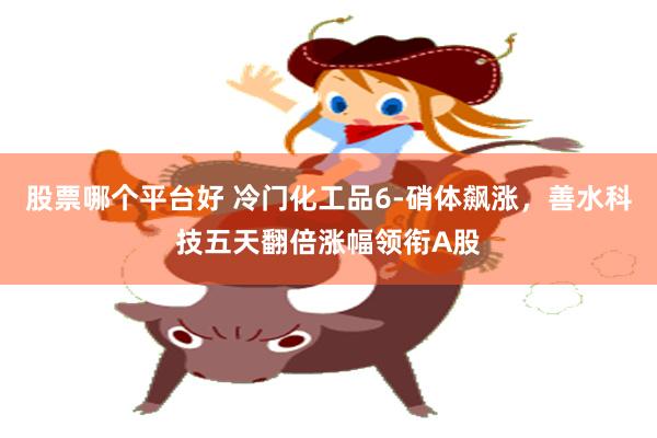 股票哪个平台好 冷门化工品6-硝体飙涨,善水科技五天翻倍涨幅领衔A股