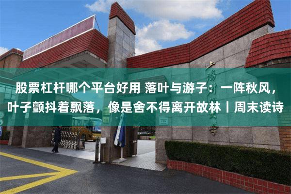 股票杠杆哪个平台好用 落叶与游子:一阵秋风,叶子颤抖着飘落,像是舍不得离开故林丨周末读诗